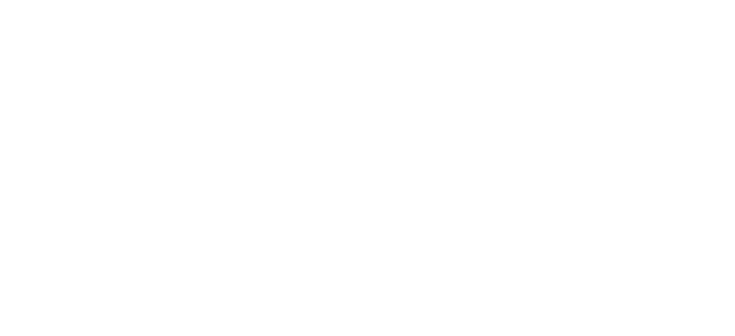 Fib