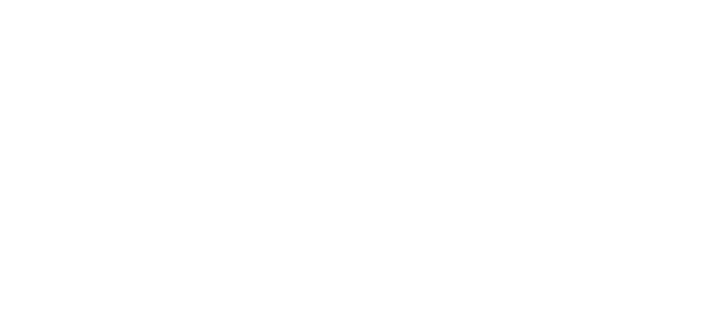 Low festival